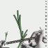 “青蔥計(jì)劃”15強(qiáng)名單揭曉 大咖評(píng)審團(tuán)蓄勢(shì)待發(fā)