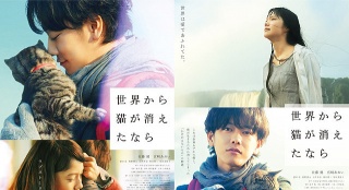 《假如貓從世界上消失》新海報 佐藤健暖心抱貓