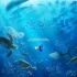 《海底總動員2》曝光新海報 健忘多莉迷失深海