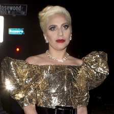 Gaga30歲生日派對(duì)美成“金蝴蝶” 霉霉深V來(lái)捧場(chǎng)