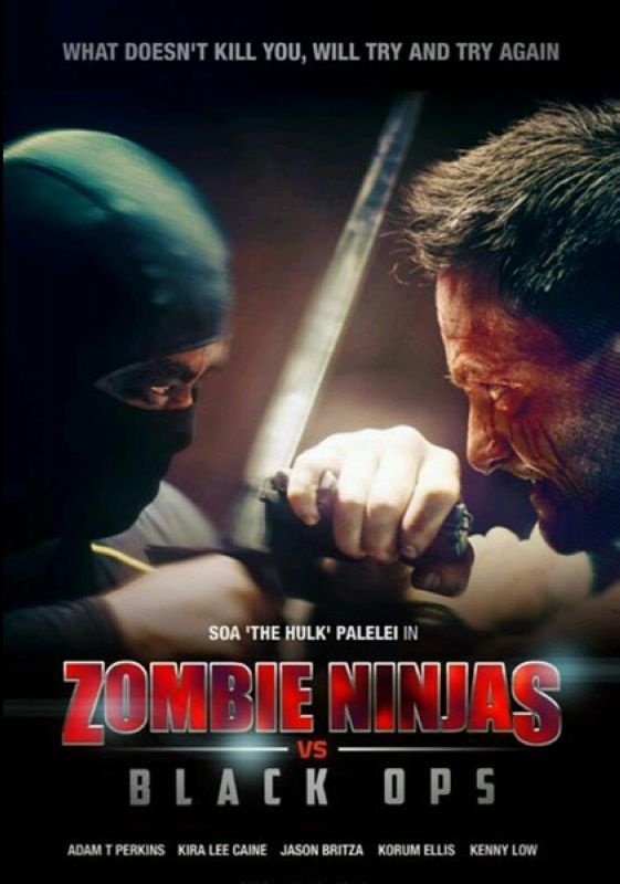 zombie ninjas vs black ops_电影海报_图集_电影网_.