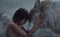一周影情大數(shù)據(jù)出爐 走近奇幻叢生《奇幻森林》