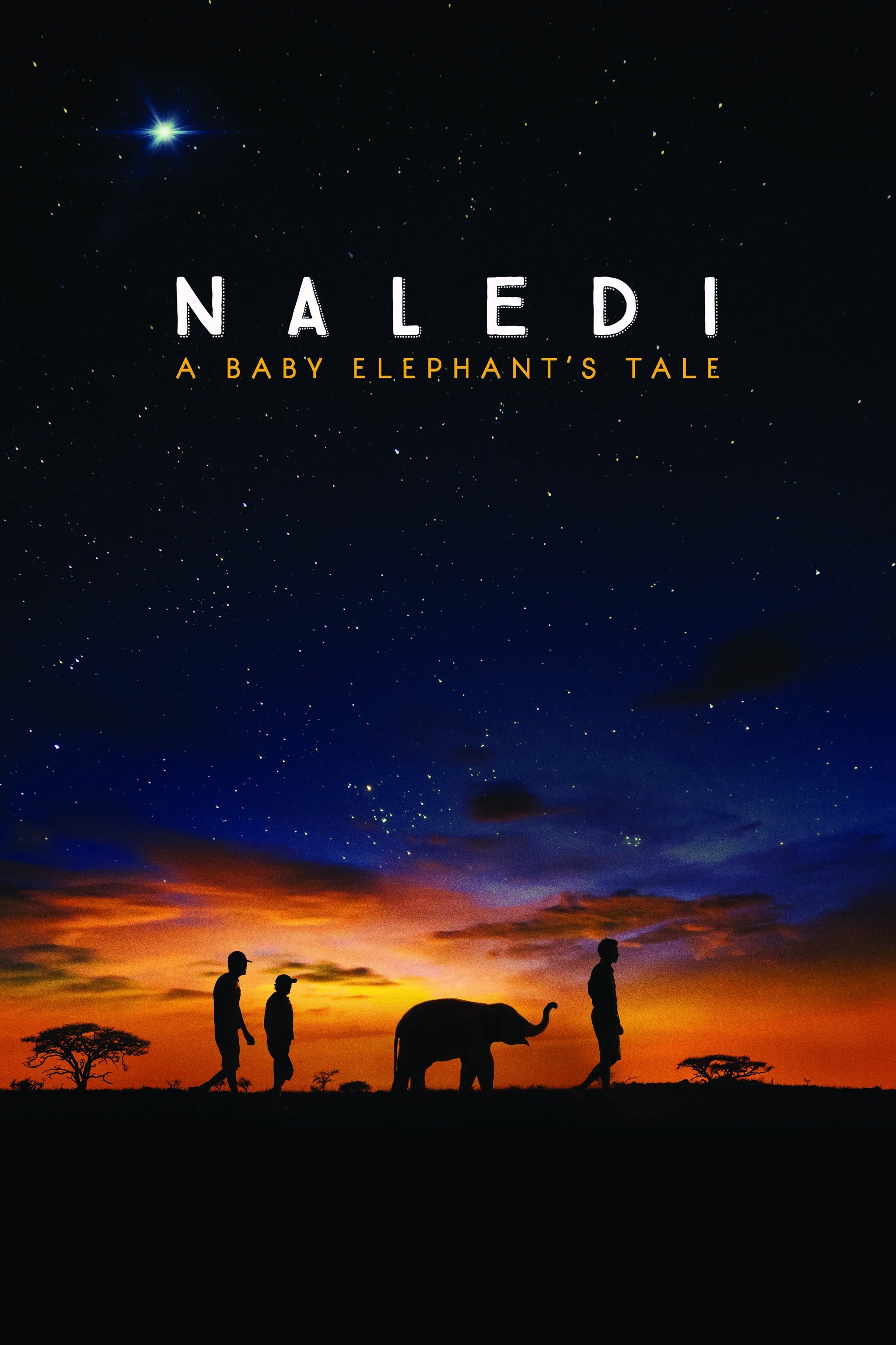 naledi: a baby elephant"s tale