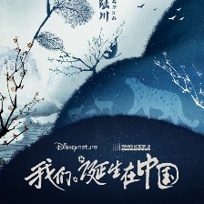 《我們誕生在中國(guó)》曝預(yù)告片 陸川執(zhí)導(dǎo)定檔暑期