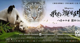 《我們誕生在中國(guó)》終極預(yù)告 陸川執(zhí)導(dǎo)周迅配音