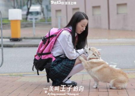《一条叫王子的狗》发布倒影海报 定档915_