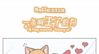 《一條叫王子的狗》四格漫畫(huà) 小短腿日常萌化了