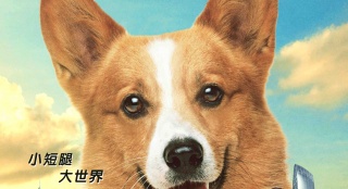 《一條叫王子的狗》終極海報(bào):柯基王子搭學(xué)生妹