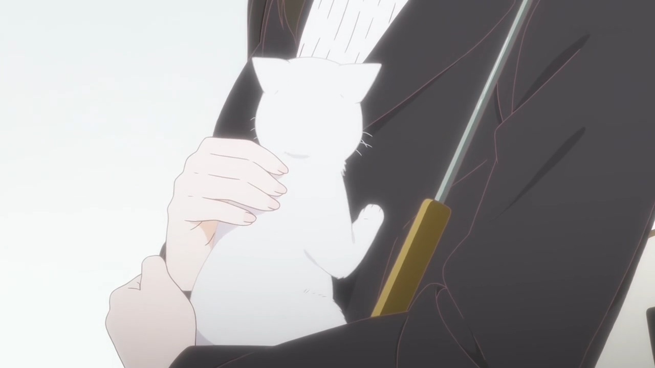 她和她的猫