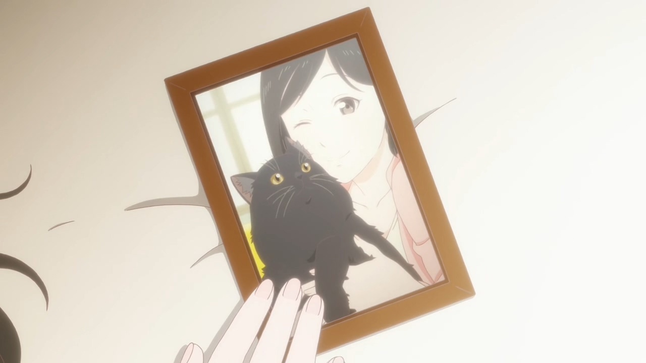 她和她的猫