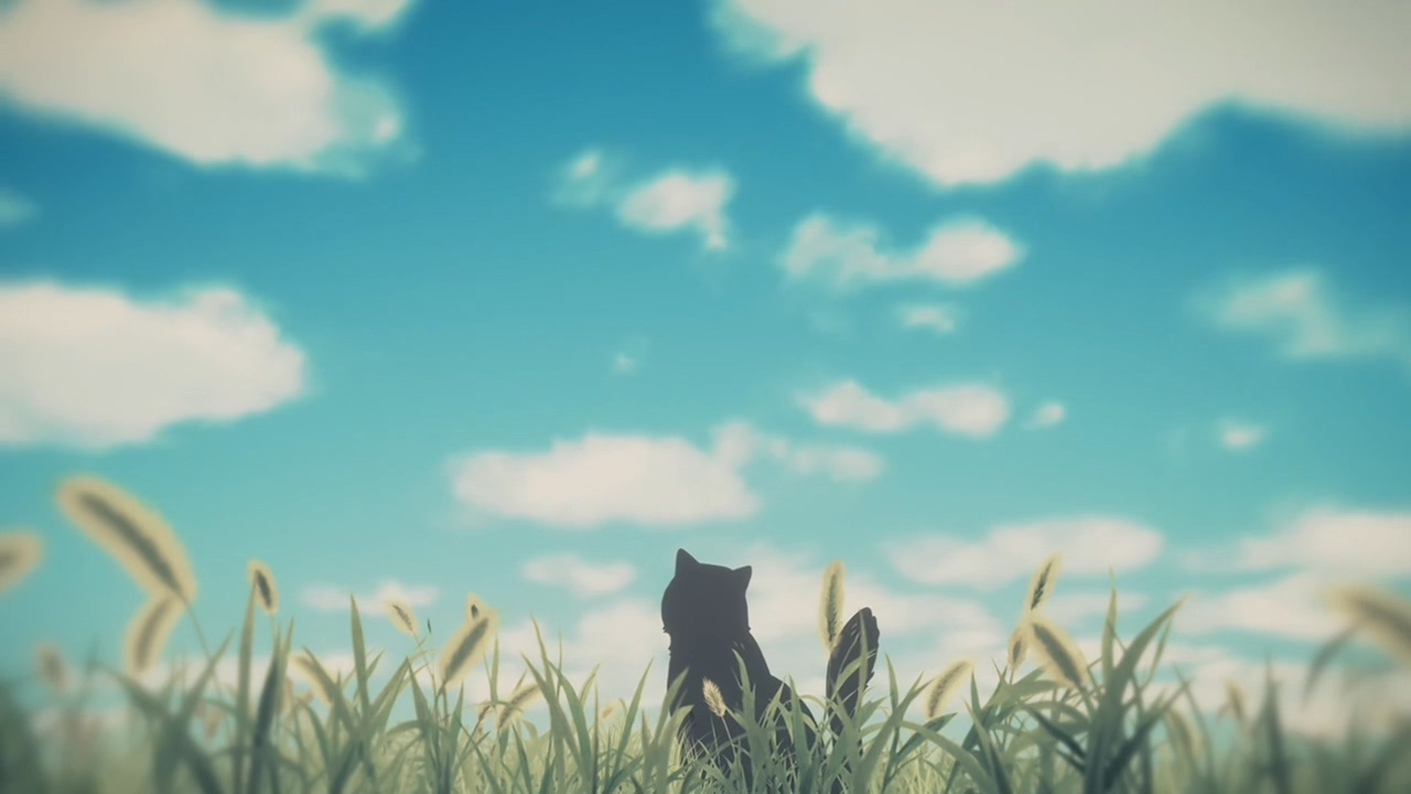 她和她的猫