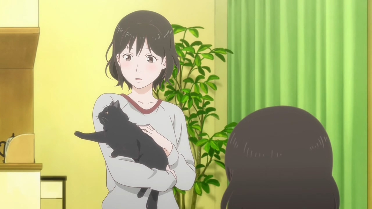 她和她的猫