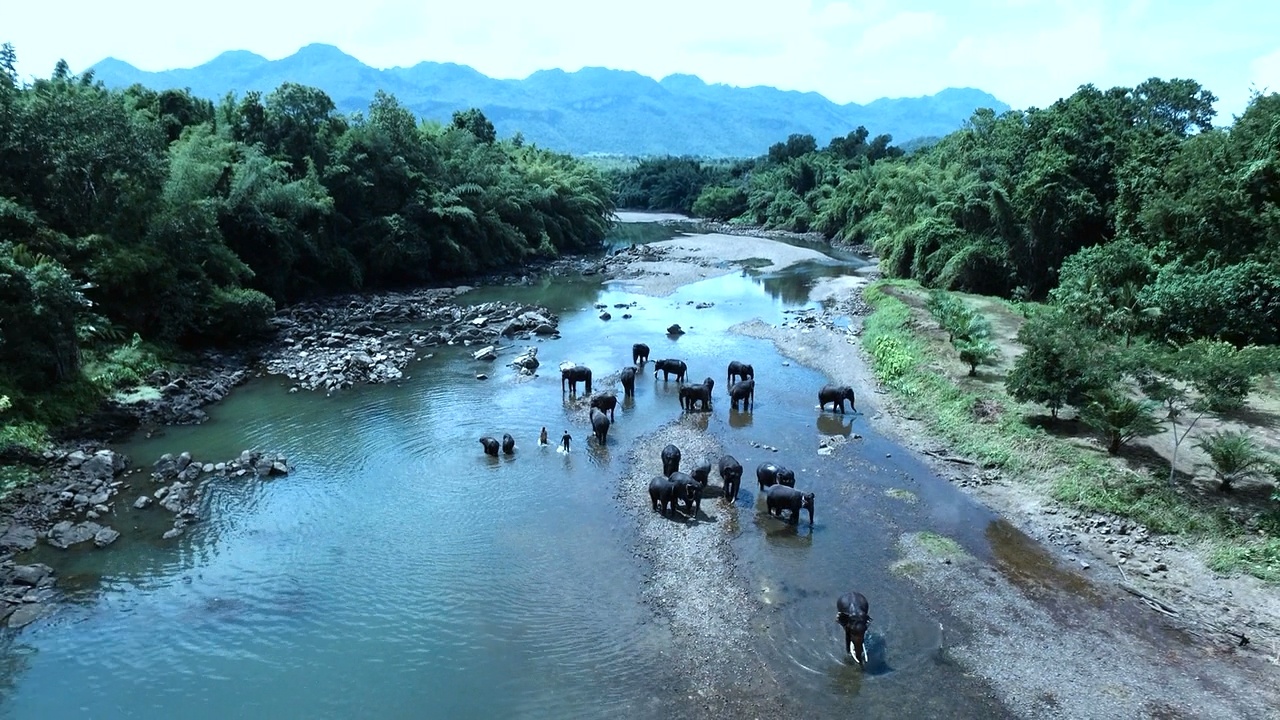 终极标靶2