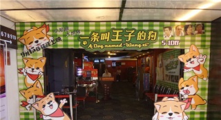?《一條叫王子的狗》主題影院準(zhǔn)備就緒人氣爆棚