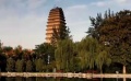 古都西安：我和电影有个约会 绽放银幕光影魅力