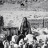 萬瑪才旦新片《塔洛》北美開畫 國內(nèi)上映在即