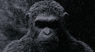 《猩球崛起3》霸气登顶美国第16届视效工会奖