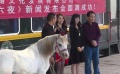 公路喜剧《五天六夜》举办发布会 王小毅自导自演