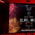 大师回归！李安用《比利·林恩》重新定义3D电影