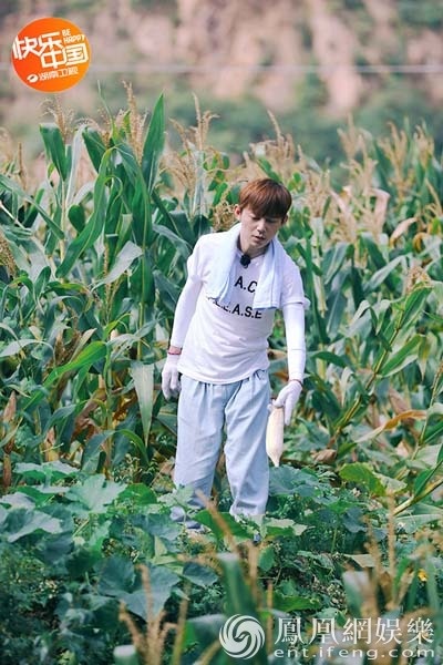 《向往的生活》蘑菇屋债台高筑 何炅掰玉米累