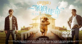 《一条狗的使命》筹拍续集 因中国内地表现强势