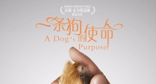 《一条狗的使命》曝“携手版”海报：声动人心
