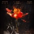 《六人晚餐》定檔5.11 竇驍張鈞甯上演殘酷青春