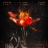 《六人晚餐》定檔5.11 竇驍張鈞甯上演激燃青春
