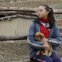 《血狼犬》清明发纪念海报 剧组怀念明星小狗贝贝