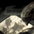 《异形5》项目彻底停止 雷德利·斯科特亲口证实