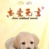 《忠爱无言》曝萌犬“二货”海报 6月9日上映