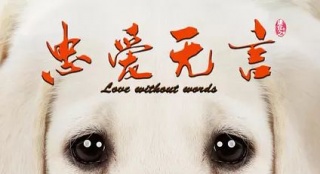 《忠愛無言》無法站立的老人與永不離開的靈魂