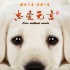 《忠爱无言》定档6月9日 老人与忠犬相依为命