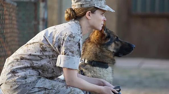 又一部催泪狗狗故事来了,这一次发生在伊拉克