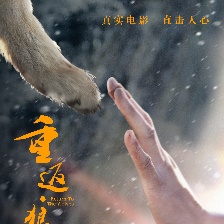 赵忠祥助阵《重返·狼群》 痛斥盗版为“狼”正名