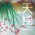 《天梯:蔡國(guó)強(qiáng)的藝術(shù)》上影節(jié)展映 抒發(fā)家國(guó)情懷