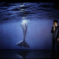 黑鳍上影节公布新动向 将开展海外销售与发行业务