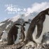  《地球》發(fā)布終極預(yù)告 晝夜交替演繹生命魅力