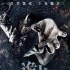 《诡井》发布终极海报 “深井怨灵”扭曲渗人