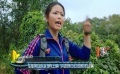 《旋风女队》9月上映 讲述球场菜鸟的成长故事