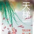 鄧文迪贊《天梯：蔡國(guó)強(qiáng)的藝術(shù)》 最會(huì)