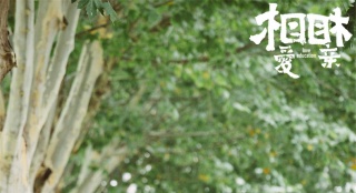 耿樂為張艾嘉打call 《相愛相親》獻突破性表演