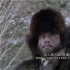 佳片 |《智取威虎山》：英雄多义胆，战场似江湖