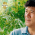 《南哥》曝劇情版預(yù)告 中國式“暖男”感動人心