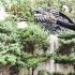 《王牌特工2》马强逛豫园 98场超前点映观众期待