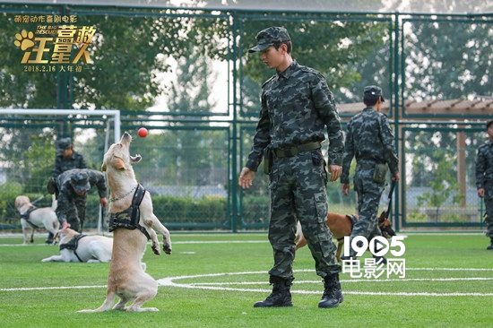 《营救汪星人》成毅率"神犬奇兵"出征春节档