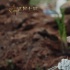 《七月半3》發(fā)終極預(yù)告 女巫靈魂出竅蠱惑人心