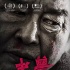 电影《老兽》定档12.11 获得金马影评人费比西奖
