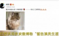 舒淇發(fā)微博