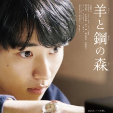 羊与钢的森林